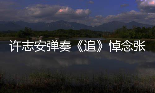 荣 许志抢镜奏追张国安弹悼念婚戒手上